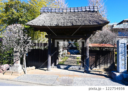 成福寺の山門 122754936