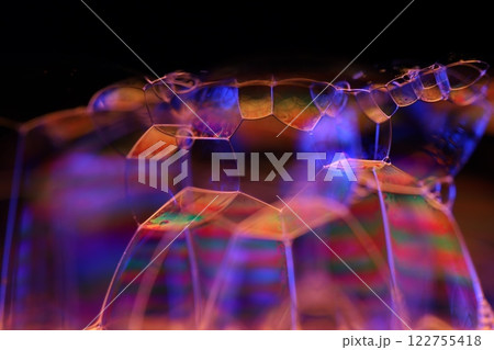Orange and purple fluid forms, liquid abstraction, colour waves, deep dark backgrounds, geometric shapes, liquid connection, perfect science Orange and purple fluid forms, liquid abstraction, colour waves, deep dark backgrounds, geometric shapes, liquid connection, perfect science 122755418
