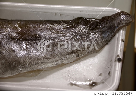 新鮮なたら 122755547