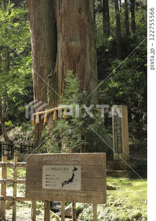 日本屈指のパワースポット御岩神社の御神木「三本杉」 日本屈指のパワースポット御岩神社の御神木「三本杉」 122755566