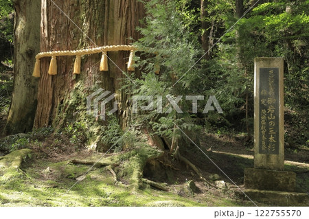 日本屈指のパワースポット御岩神社の御神木「三本杉」 日本屈指のパワースポット御岩神社の御神木「三本杉」 122755570
