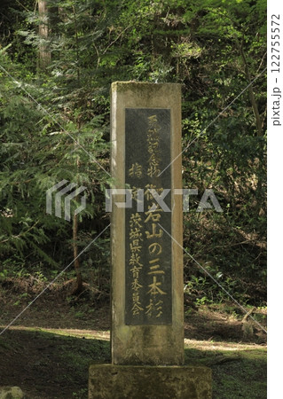 日本屈指のパワースポット御岩神社の御神木「三本杉」の石碑 日本屈指のパワースポット御岩神社の御神木「三本杉」の石碑 122755572