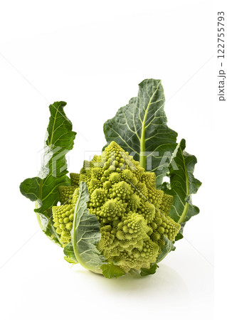 白バックのロマネスコ 白バックのロマネスコ 122755793