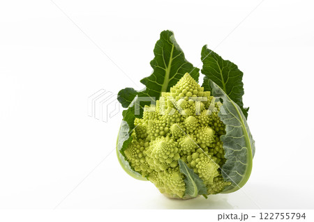 白バックのロマネスコ 白バックのロマネスコ 122755794