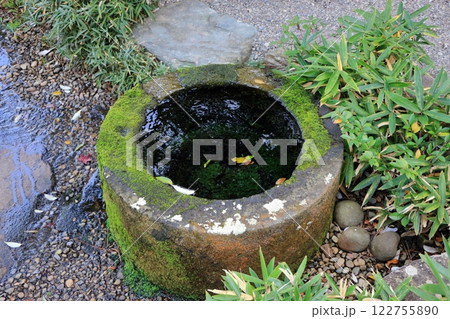 The scenic beauty of Yokokan Garden in Fukui City in Fukui prefecture Japan The scenic beauty of Yokokan Garden in Fukui City in Fukui prefecture Japan 122755890