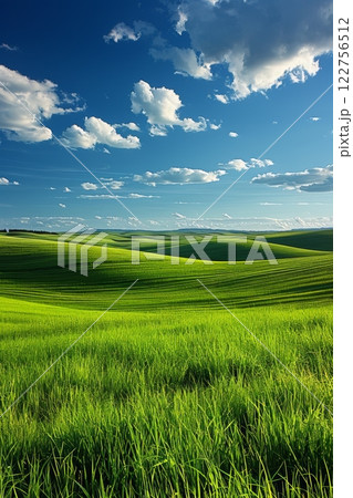 Tranquil and Picturesque Rolling Hills Beneath a Bright and Sunny Sky Filled with Fluffy White Clouds 122756512