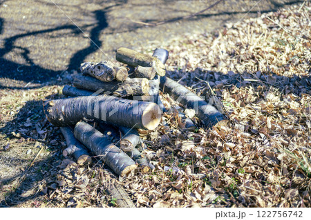 山 森 手入れ 枝打ち イメージ 122756742