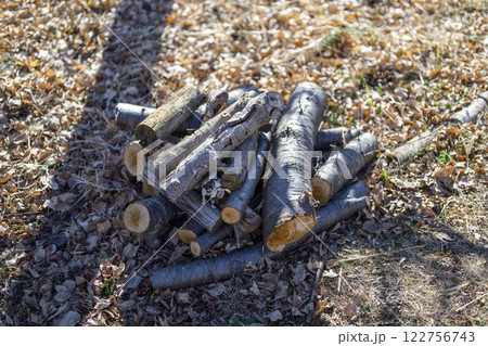 山 森 手入れ 枝打ち イメージ 122756743