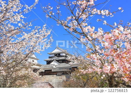 【愛媛県】桜が満開の松山城天守閣 122756815