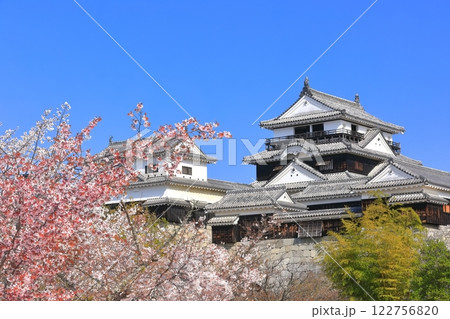 【愛媛県】桜が満開の松山城天守閣 122756820