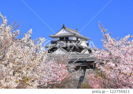 【愛媛県】桜が満開の松山城天守閣 122756821