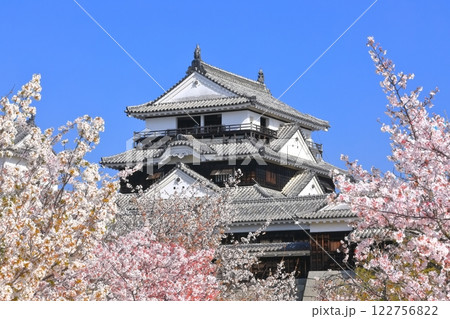【愛媛県】桜が満開の松山城天守閣 122756822