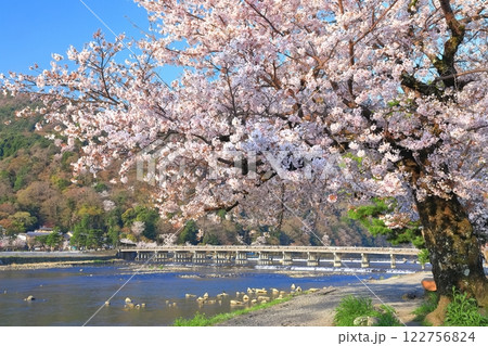 【京都府】満開の桜と嵐山渡月橋 【京都府】満開の桜と嵐山渡月橋 122756824