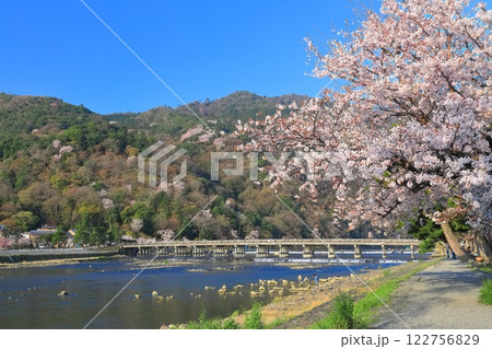 【京都府】満開の桜と嵐山渡月橋 122756829