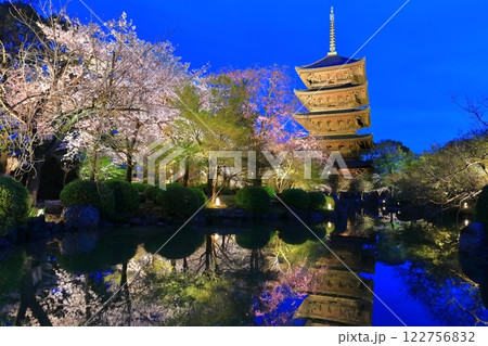 【京都府】東寺の満開夜桜(夜間特別拝観) 【京都府】東寺の満開夜桜(夜間特別拝観) 122756832