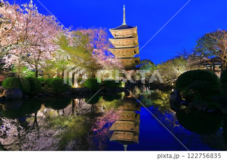【京都府】東寺の満開夜桜（夜間特別拝観） 122756835