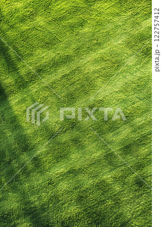 Aerial View of a Lush Green Forest Canopy with Sunlit Pathways offering a serene and breathtaking natural scenery 122757412
