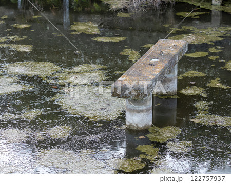 氷が張った池の風景 氷が張った池の風景 122757937