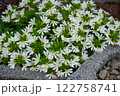 サンクエールの花壇 122758741