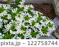 サンクエールの花壇 122758744