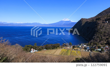 井田から望む、駿河湾と富士山 122759091