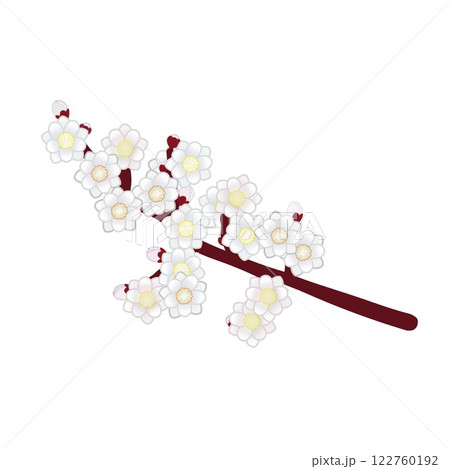 白の八重花桃の枝のイラスト 122760192