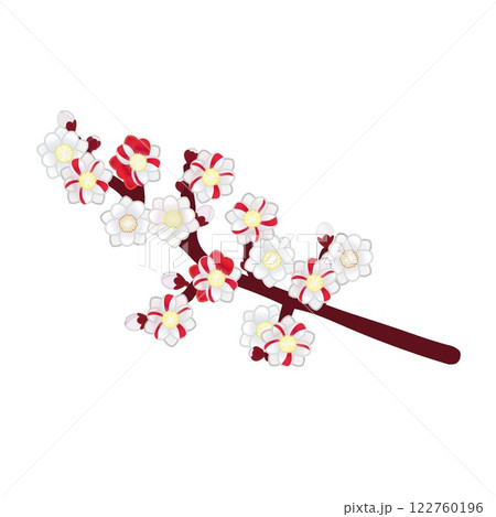 紅白八重花桃の枝のイラスト 紅白八重花桃の枝のイラスト 122760196