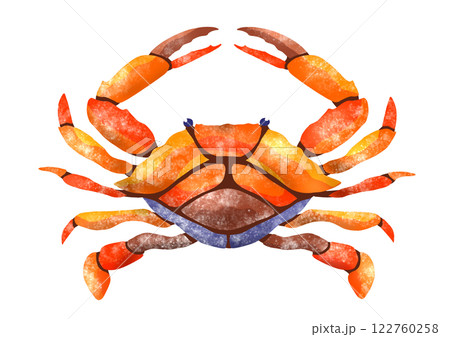 ワタリガニの綺麗なタイル画切り絵イラスト 122760258