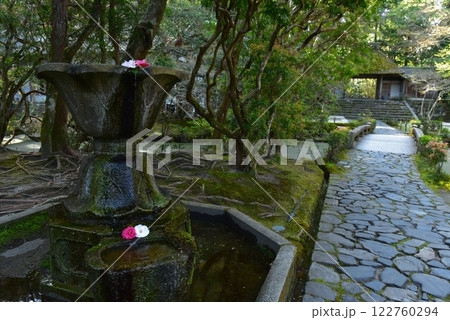 京都 法然院 蹲いの落ち椿 京都 法然院 蹲いの落ち椿 122760294