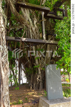 ひんぷんガジュマル ひんぷんガジュマル 122760692