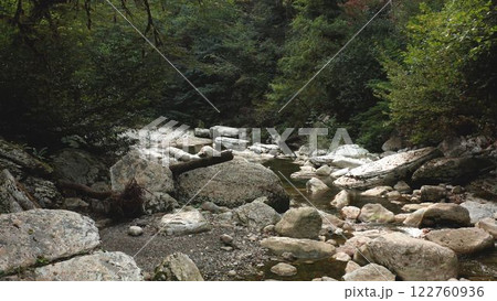 Fallen tree trunk creating natural bridge over forest stream 122760936