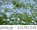 青いネモフィラの花 122761338