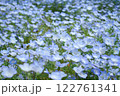 青いネモフィラの花 122761341