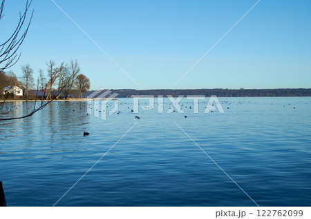 Flock of Ducks on Tranquil Lake 122762099
