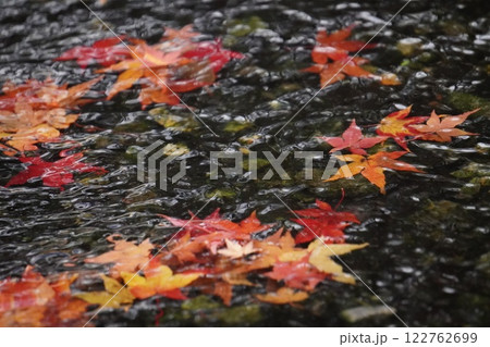 水に浮かぶ紅葉 水に浮かぶ紅葉 122762699