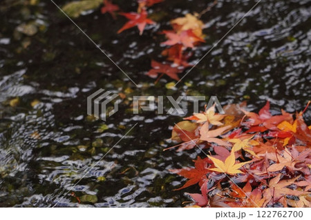 水に浮かぶ紅葉 水に浮かぶ紅葉 122762700