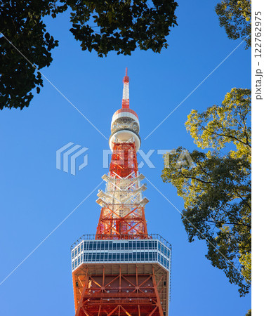 木々に囲まれた東京タワー 122762975