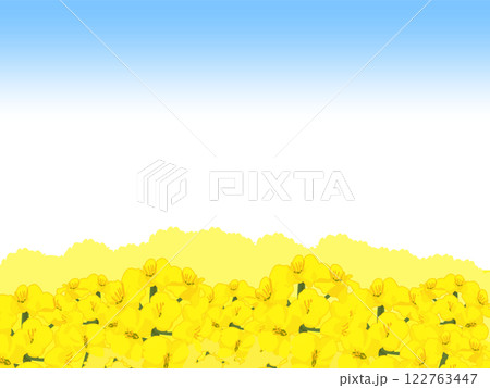 シンプルかわいい菜の花畑の背景 シンプルかわいい菜の花畑の背景 122763447