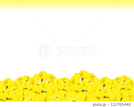 シンプルかわいい菜の花畑の背景2 シンプルかわいい菜の花畑の背景2 122763448