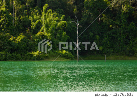 A beauty of Cheow Lan Dam or Rajjaprabha Dam Reservoir is in Khao Sok National Park in Surat Thani, Thailand A beauty of Cheow Lan Dam or Rajjaprabha Dam Reservoir is in Khao Sok National Park in Surat Thani, Thailand 122763633