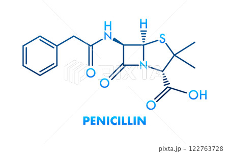 Penicillin skeletal formula showing atoms and bonds, antibiotic drug 122763728