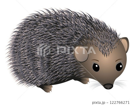 Hedgehog. Hedgehog. 122766271