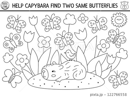 Find two same butterflies. Capybara black and white matching activity for children. Educational line quiz worksheet for kids. Printable game, coloring page with cute capibara looking for insects in 122766558