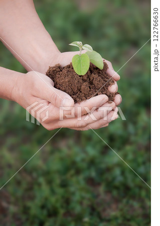 Fried potatoes with spices in a rustic way with a crispy crust Fried potatoes with spices in a rustic way with a crispy crust 122766630