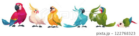Cartoon parrot. Flying bird. Tropical macaw. Cute baby wing happy character. Colorful feathers. Exotic animals. Funny parakeet. Jungle avian creature. Vector isolated rainforest birdies set Cartoon parrot. Flying bird. Tropical macaw. Cute baby wing happy character. Colorful feathers. Exotic animals. Funny parakeet. Jungle avian creature. Vector isolated rainforest birdies set 122768323