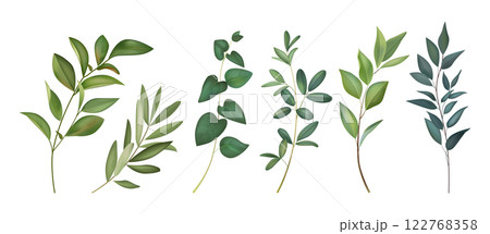 Watercolor leaf. Green flower leaves, watercolour plant branch, wedding tree elements for invitation design. Greenery foliage painting. Natural eucalyptus, spring twig. Vector isolated set Watercolor leaf. Green flower leaves, watercolour plant branch, wedding tree elements for invitation design. Greenery foliage painting. Natural eucalyptus, spring twig. Vector isolated set 122768358