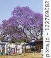 ジンバブエ　ジャカランダの花 122769082