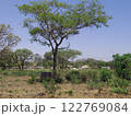 ジンバブエの風景 122769084