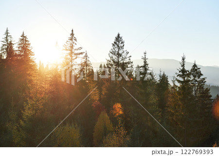 the mountain autumn landscape with colorful forest the mountain autumn landscape with colorful forest 122769393