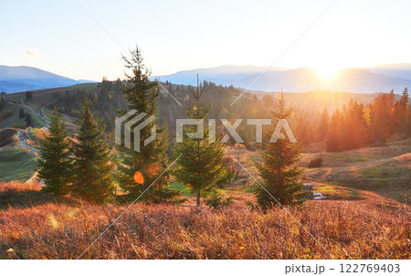 Amazing autumn morning scenery in mountains with meadow and colorful trees on foreground and fog underfoot. National Natural Park Synevyr, Carpathian Mountains, Ukraine. Beautiful autumn background Amazing autumn morning scenery in mountains with meadow and colorful trees on foreground and fog underfoot. National Natural Park Synevyr, Carpathian Mountains, Ukraine. Beautiful autumn background 122769403